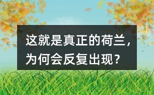 這就是真正的荷蘭，為何會反復(fù)出現(xiàn)？