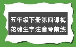 五年級下冊第四課梅花魂生字注音考前練習(xí)題目答案