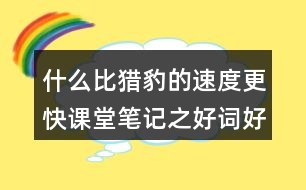 什么比獵豹的速度更快課堂筆記之好詞好句積累