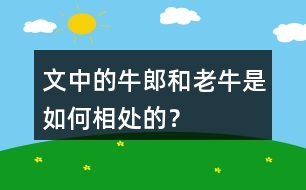 文中的牛郎和老牛是如何相處的？