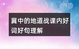 冀中的地道戰(zhàn)課內好詞好句理解