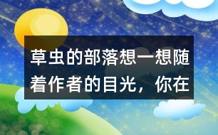 草蟲的部落想一想隨著作者的目光，你在“曹操的部落”看到了什么，印象最深的有哪些？