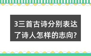 3、三首古詩分別表達了詩人怎樣的志向?表達的方法有什么共同特點?