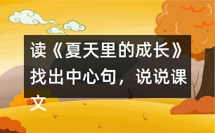 讀《夏天里的成長(zhǎng)》找出中心句，說(shuō)說(shuō)課文是怎樣圍繞這句話來(lái)寫的。