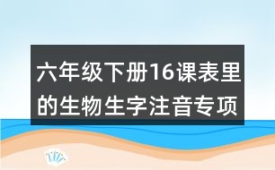 六年級下冊16課表里的生物生字注音專項練習(xí)答案