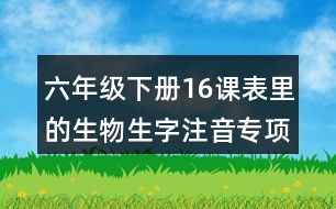 六年級下冊16課表里的生物生字注音專項練習(xí)