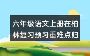 六年級語文上冊在柏林復習預習重難點歸納筆記