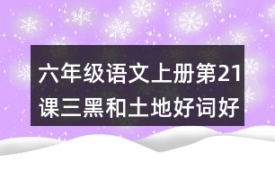 六年級(jí)語(yǔ)文上冊(cè)第21課三黑和土地好詞好句