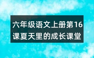 六年級(jí)語文上冊(cè)第16課夏天里的成長(zhǎng)課堂筆記本課知識(shí)點(diǎn)