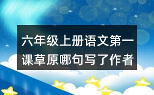 六年級上冊語文第一課草原哪句寫了作者的感受?