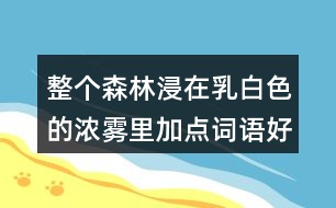 整個(gè)森林浸在乳白色的濃霧里加點(diǎn)詞語(yǔ)好在哪里？