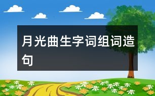 月光曲生字詞組詞造句