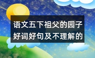 語文五下祖父的園子好詞好句及不理解的詞語