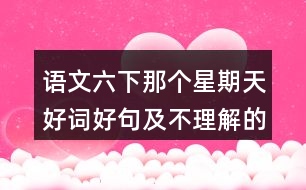 語文六下那個星期天好詞好句及不理解的詞語