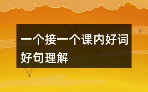 一個(gè)接一個(gè)課內(nèi)好詞好句理解