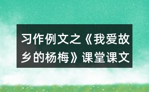 習作例文之《我愛故鄉(xiāng)的楊梅》課堂課文解析筆記