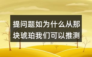 提問題如：為什么從那塊琥珀我們可以推測出幾千萬年前故事？