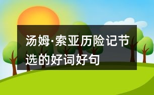 湯姆·索亞歷險記節(jié)選的好詞好句