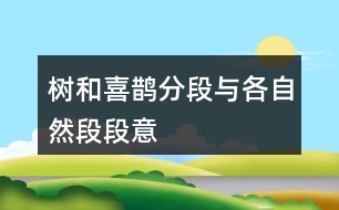 樹(shù)和喜鵲分段與各自然段段意