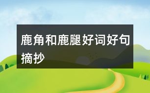 鹿角和鹿腿好詞好句摘抄