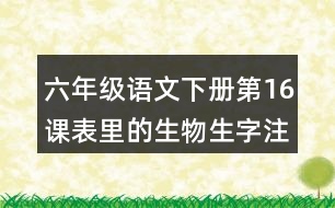 六年級語文下冊第16課表里的生物生字注音組詞