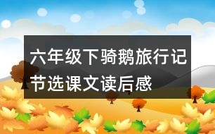 六年級下騎鵝旅行記節(jié)選課文讀后感