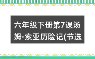 六年級下冊第7課湯姆·索亞歷險記(節(jié)選)筆記