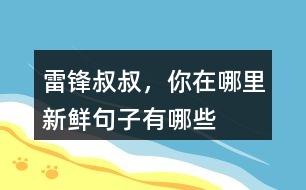 雷鋒叔叔，你在哪里新鮮句子有哪些