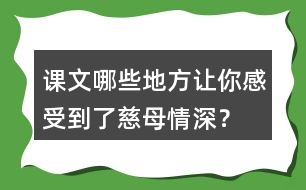 課文哪些地方讓你感受到了慈母情深？