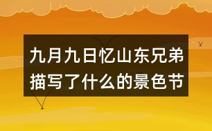 九月九日憶山東兄弟描寫了什么的景色節(jié)日