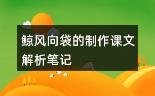 鯨,風(fēng)向袋的制作課文解析筆記