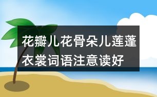 花瓣兒花骨朵兒蓮蓬衣裳詞語注意讀好