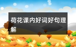 荷花課內(nèi)好詞好句理解