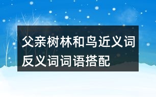 父親、樹林和鳥近義詞反義詞詞語(yǔ)搭配