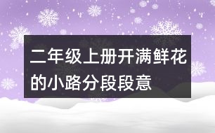 二年級(jí)上冊開滿鮮花的小路分段段意