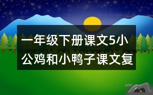 一年級下冊課文5：小公雞和小鴨子課文復(fù)習(xí)重難點課堂筆記