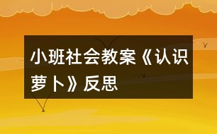 小班社會教案《認識蘿卜》反思