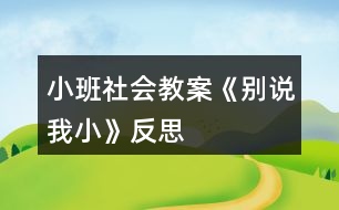 小班社會教案《別說我小》反思