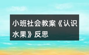 小班社會教案《認識水果》反思