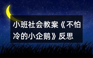 小班社會教案《不怕冷的小企鵝》反思