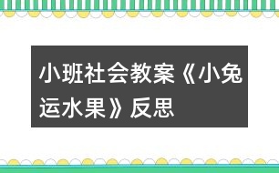 小班社會(huì)教案《小兔運(yùn)水果》反思