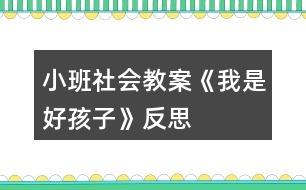 小班社會教案《我是好孩子》反思