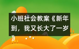 小班社會(huì)教案《新年到，我又長(zhǎng)大了一歲》反思