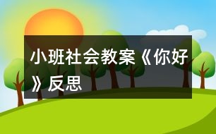 小班社會教案《你好》反思