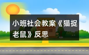 小班社會教案《貓捉老鼠》反思