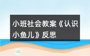 小班社會教案《認識小魚兒》反思