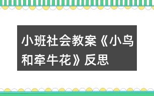 小班社會教案《小鳥和牽牛花》反思