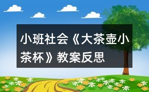 小班社會(huì)《大茶壺、小茶杯》教案反思