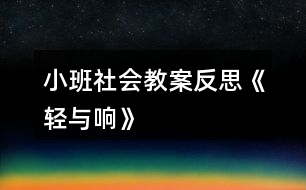 小班社會教案反思《輕與響》