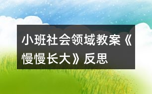 小班社會(huì)領(lǐng)域教案《慢慢長(zhǎng)大》反思